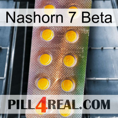 Rhino 7 Beta new11